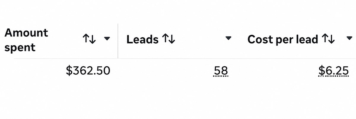 Meta ads results showing $362.50 spent, 58 leads, and $6.25 cost per lead
